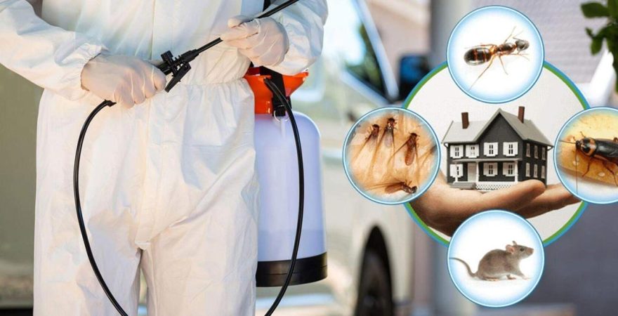 Pamukkale Böcek İlaçlama