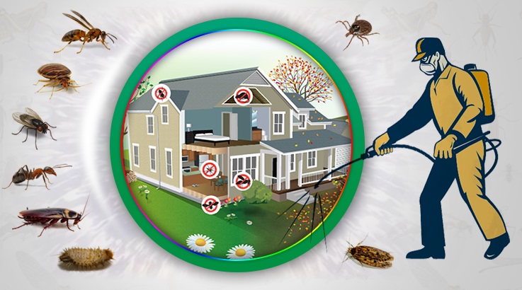 Pamukkale Böcek İlaçlama