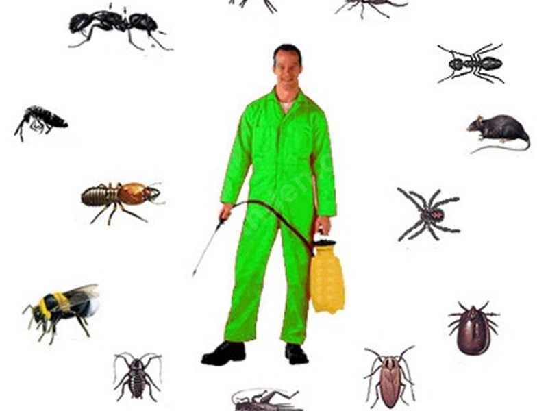 Pamukkale Böcek İlaçlama